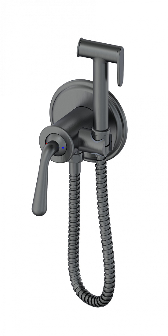 Гигиенический душ Wonzon & Woghand WW-88829008-BGM темный графит