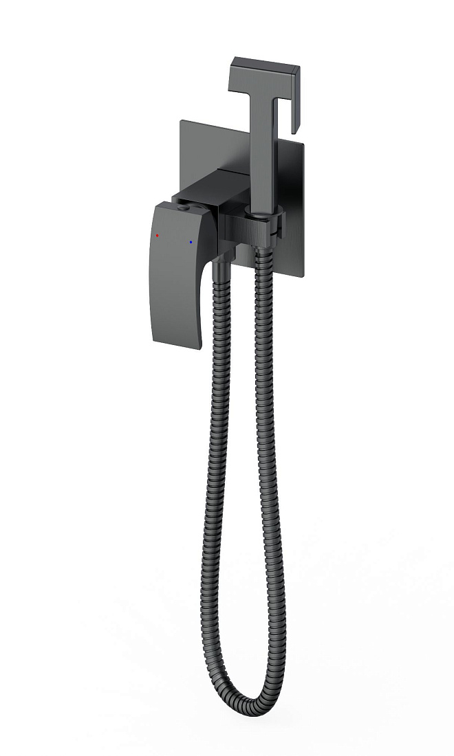 Гигиенический душ Wonzon & Woghand WW-88829009-BGM темный графит