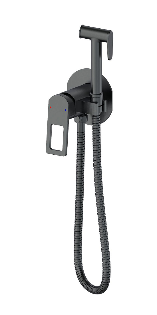 Гигиенический душ Wonzon & Woghand WW-88829010-BGM темный графит