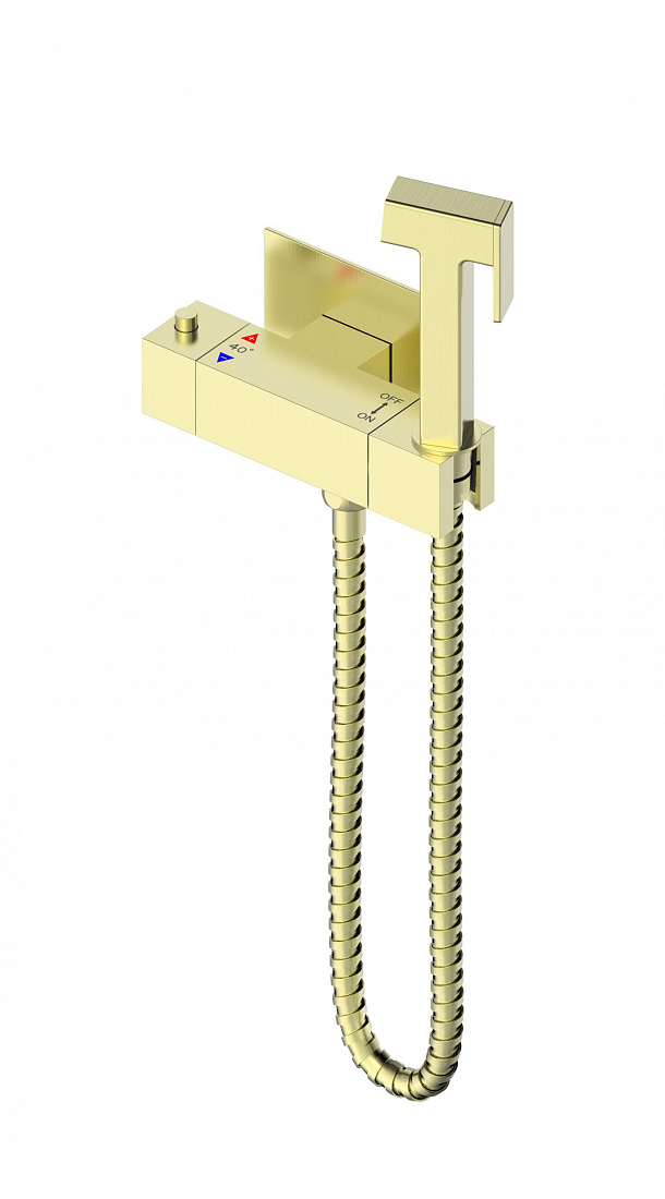 Гигиенический душ Wonzon & Woghand WW-88819903-BG золото