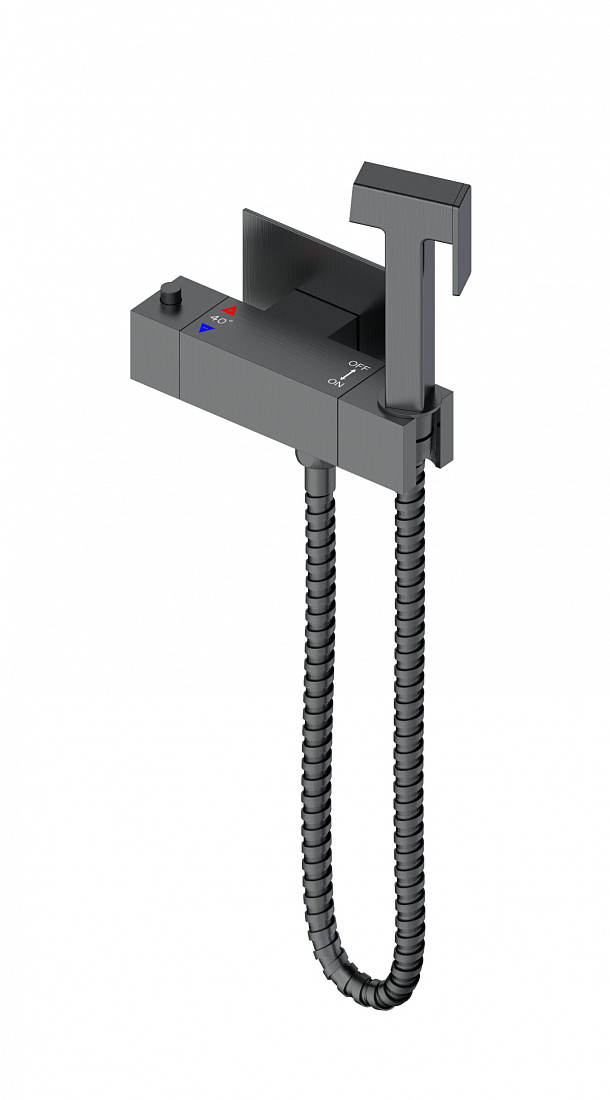 Гигиенический душ Wonzon & Woghand WW-88819903-BGM темный графит