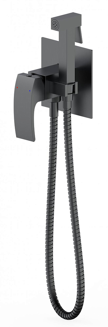 Гигиенический душ Panta Voque PT829009BGM оружейная сталь