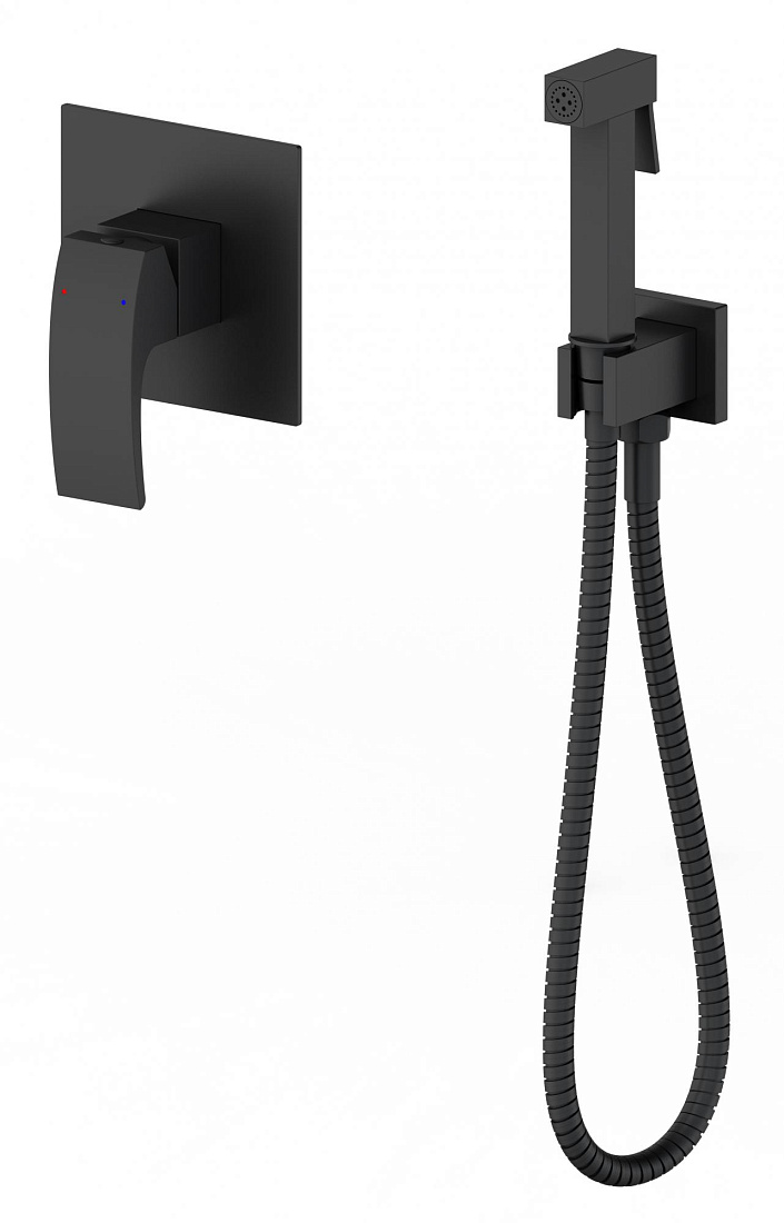 Гигиенический душ Panta Voque PT849009MB черный матовый