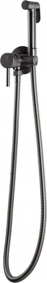 Гигиенический душ Filarete Roun FL100BG графит