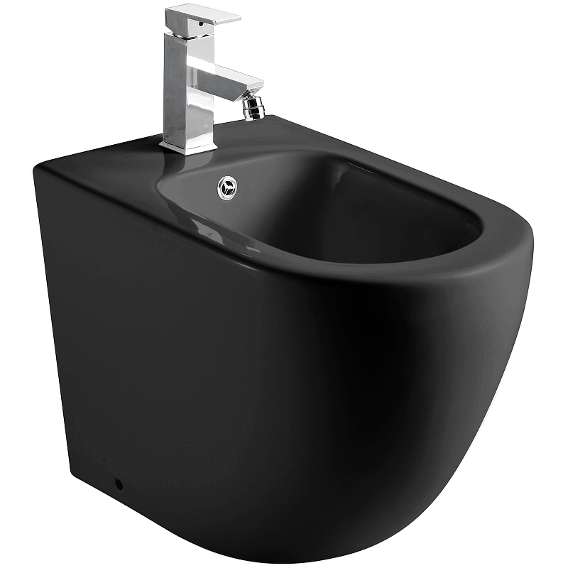 Биде напольное WeltWasser SK MERZBACH 003 MT-BL черный матовый