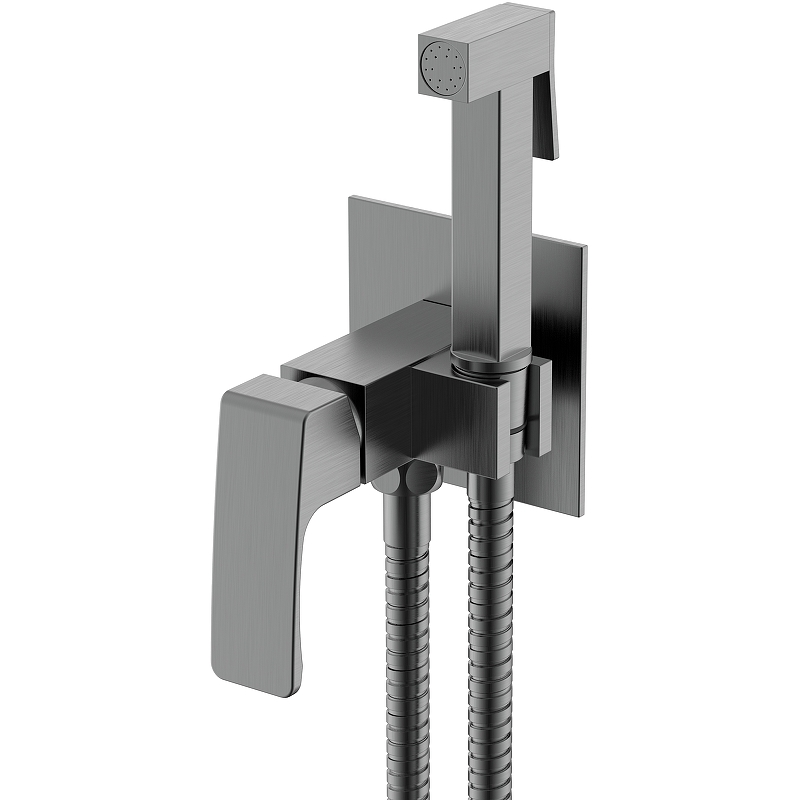 Гигиенический душ Raglo R01.52.09 со смесителем, графит матовый