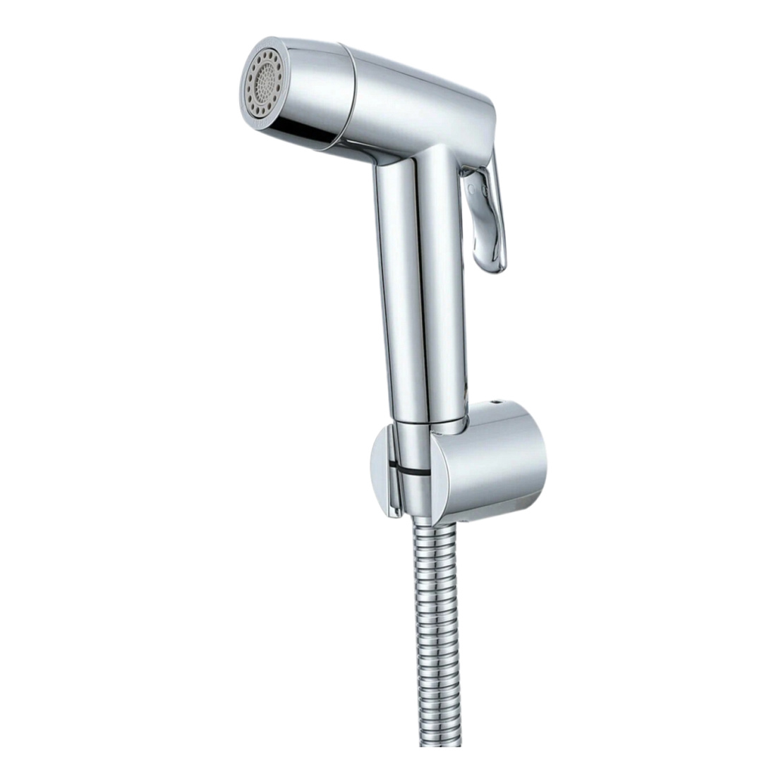 Гигиенический душ Raglo R460.50 хром