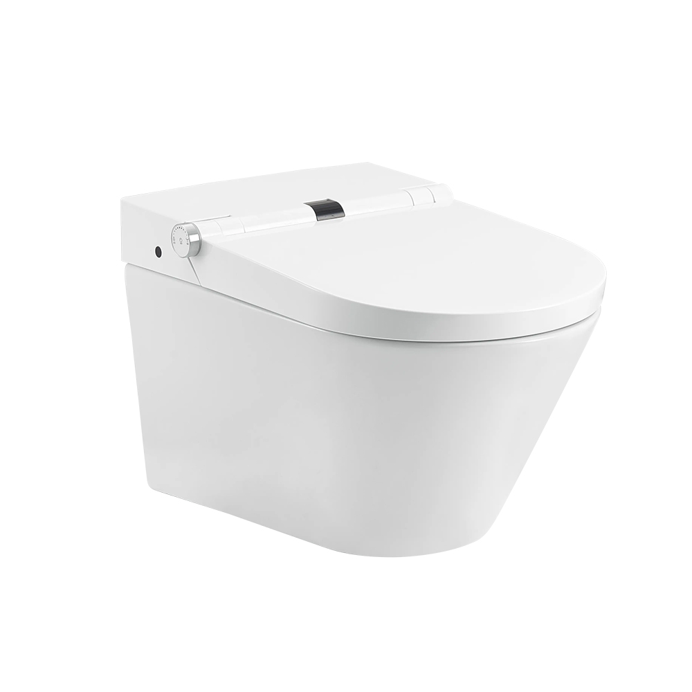 Комплект Унитаз-биде Senspa Neo JCB-2109SA подвесной, электронный, с инсталляцией