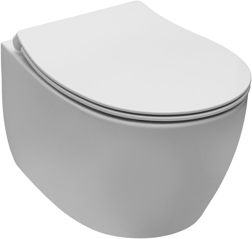 Унитаз подвесной Allen Brau Fantasy 4.11004.21 белый матовый