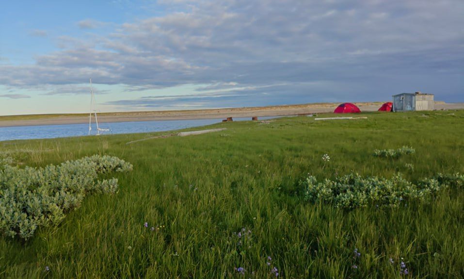 ДЕНЬ 4, 18 июля. р.Талота – губа Бельковская – протока Гусиная – р.Лымбадьяха (Пустынная)