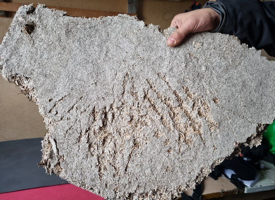 ДЕНЬ 8, 22 июля. бух.Варнек – п.Варнек – устье р.Чёрная 