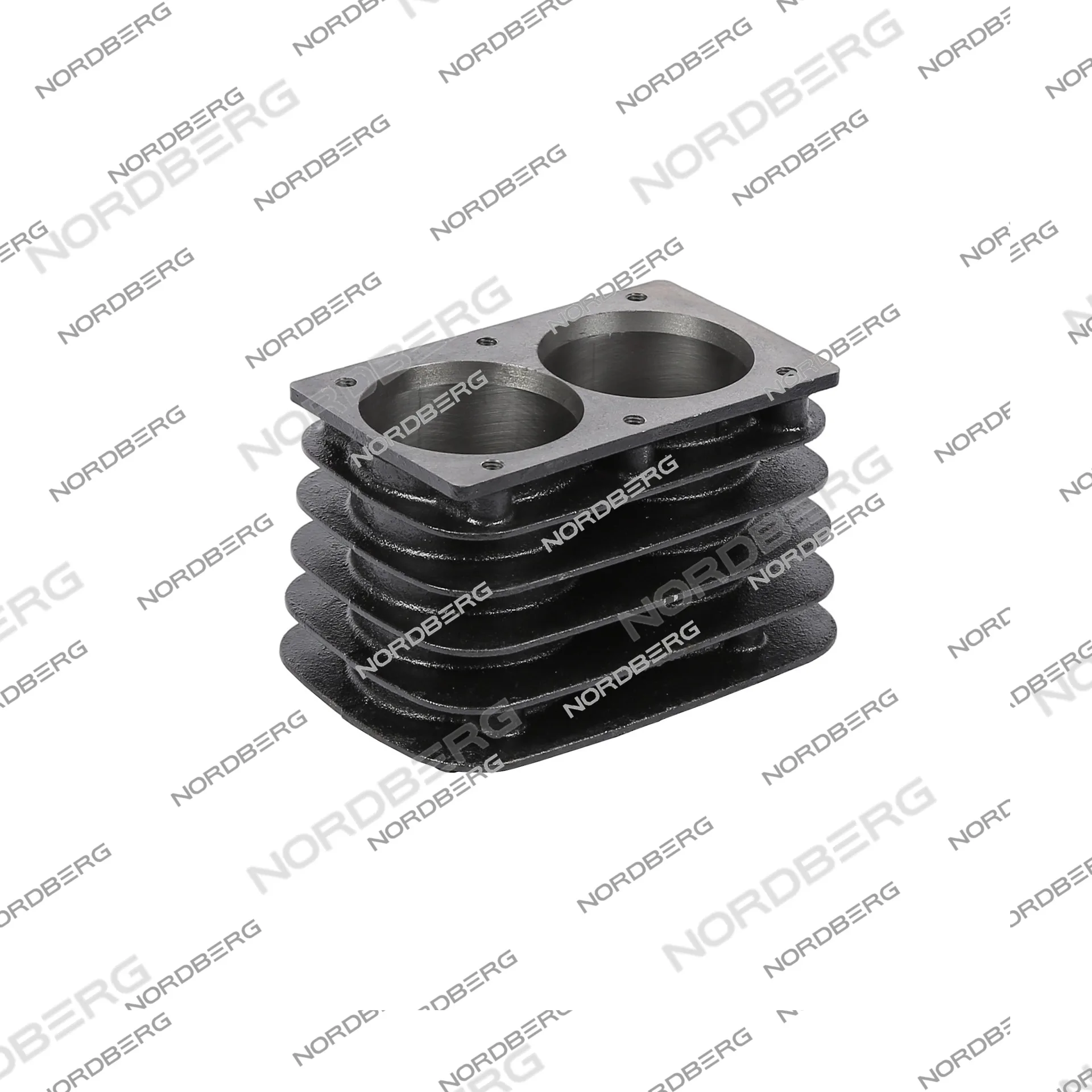 Цилиндр для NCE300/810 фото (1)