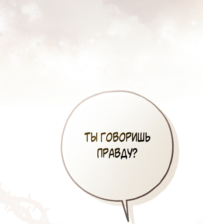 Страница 63