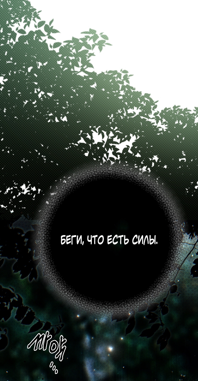 Страница 66