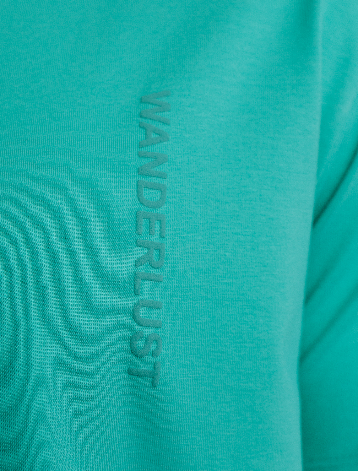 картинка Футболка мужская бирюзовый_wanderlust от магазина Одежда+