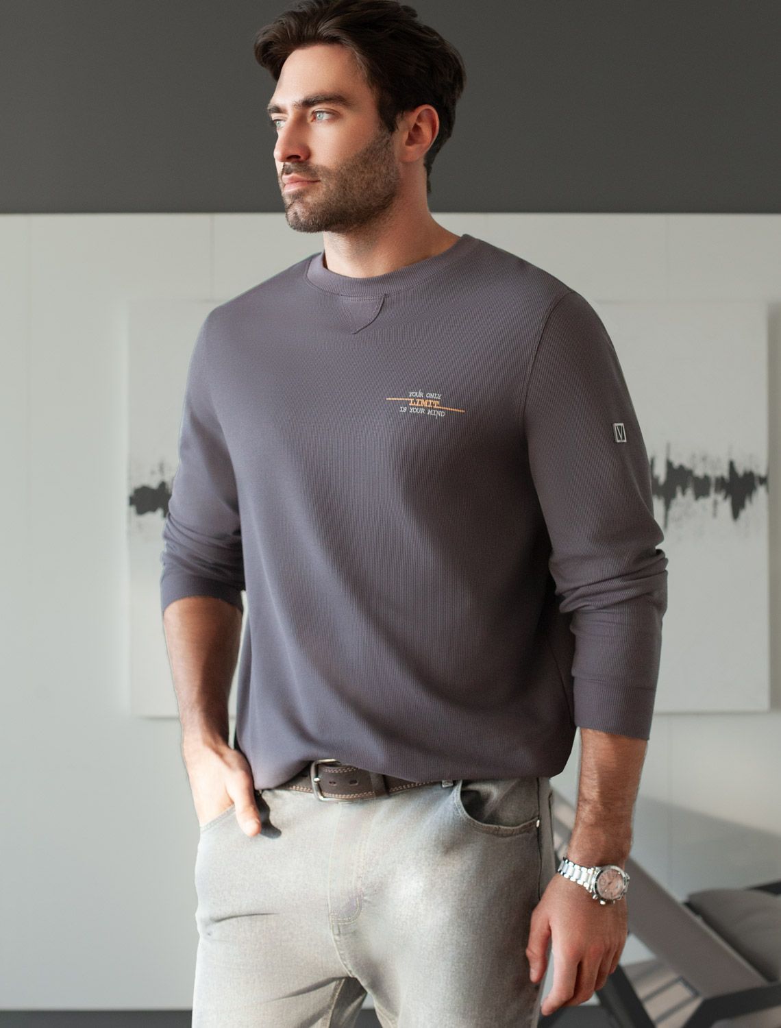 картинка Джемпер мужской серый_limit магазин Одежда+ являющийся официальным дистрибьютором в России 