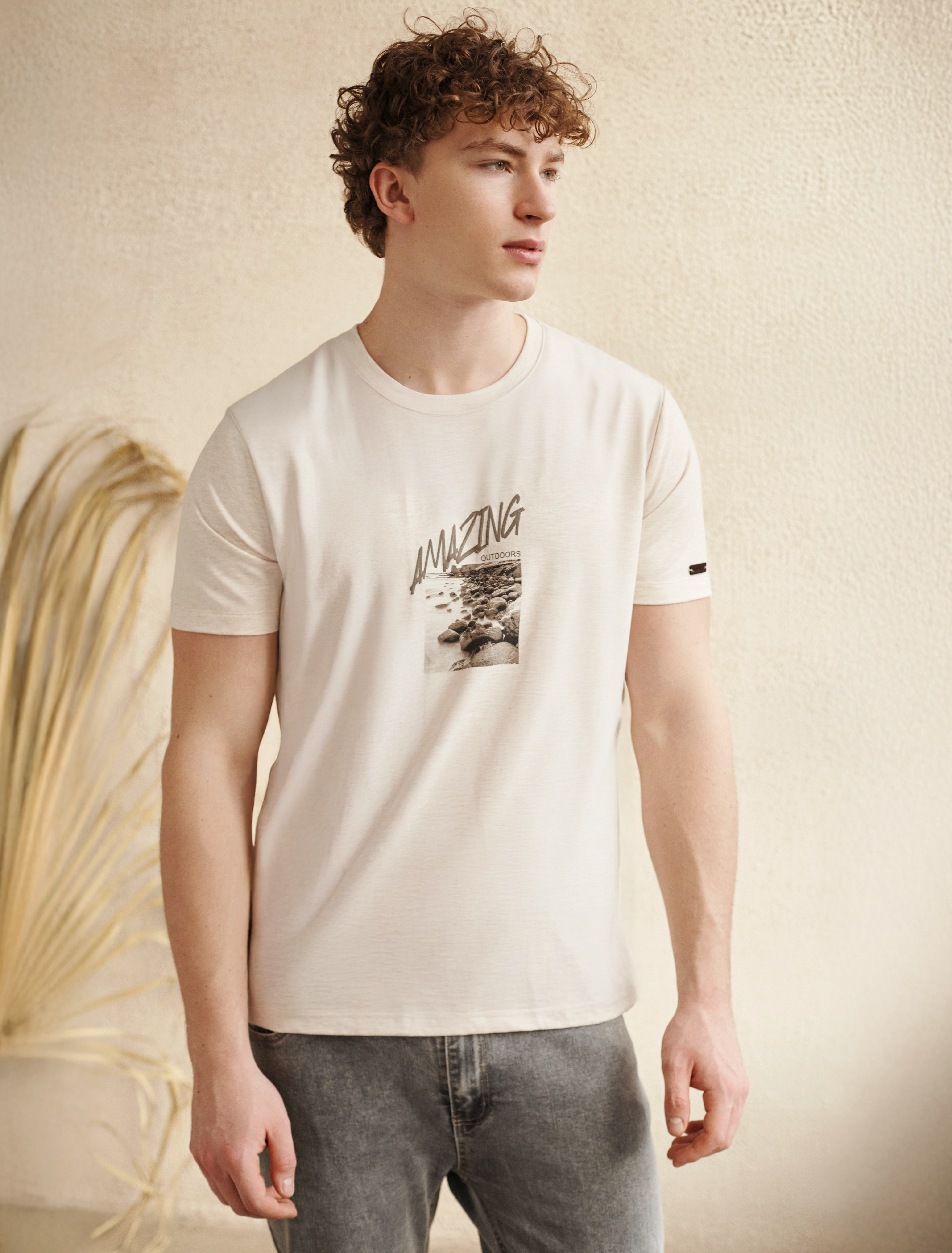 картинка Футболка мужская овсяный_amazing от магазина Одежда+
