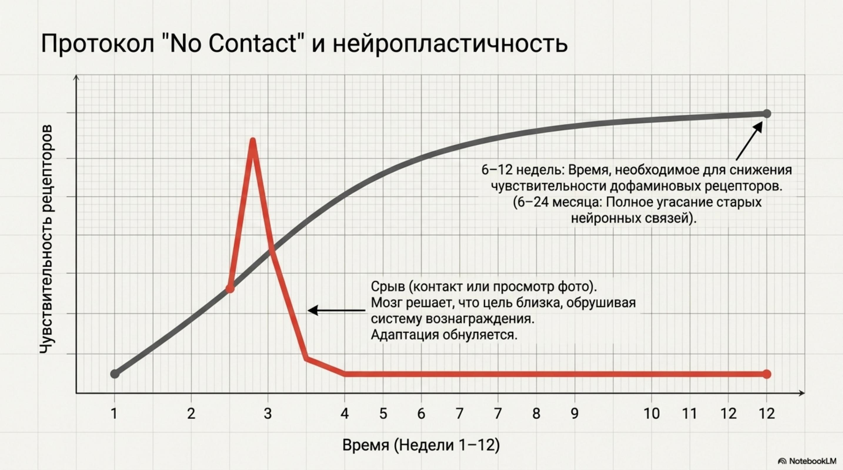 slide_10 Почему больно после расставания: дофаминовая ломка и химия тела