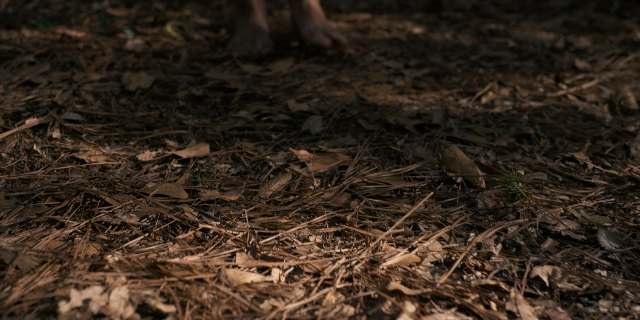 Wide shot frame from Stranger Things — walking, bed, person