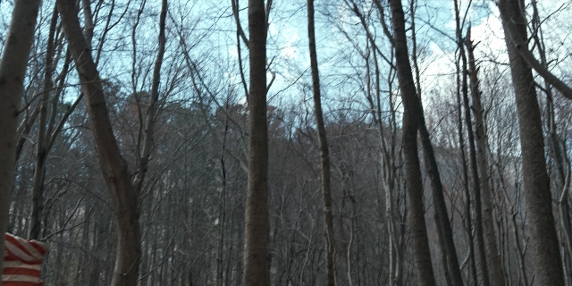 Wide shot frame from Stranger Things — flag, forest