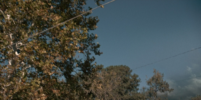 Wide shot frame from Stranger Things — forest, running, tree