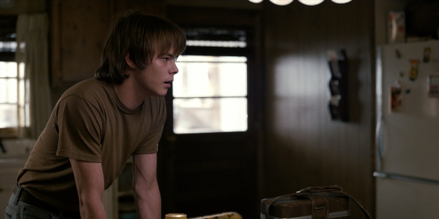 Wide shot frame from Stranger Things — standing, kitchen, shirt