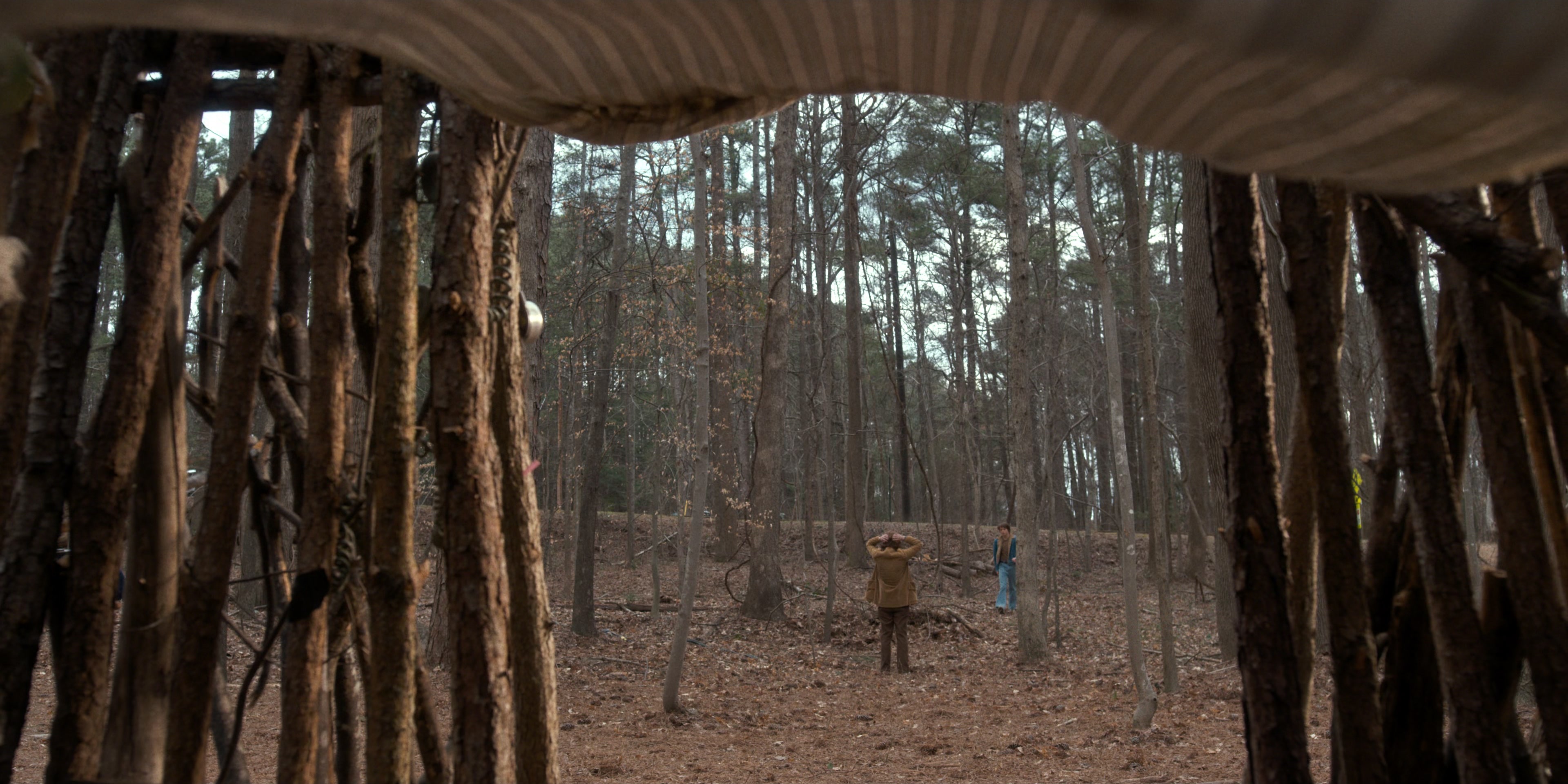 Stranger Things (2016), wide, 2.00:1 — film still
