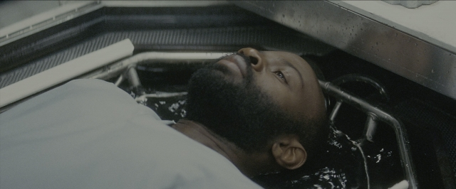 seria-3061809.jpg