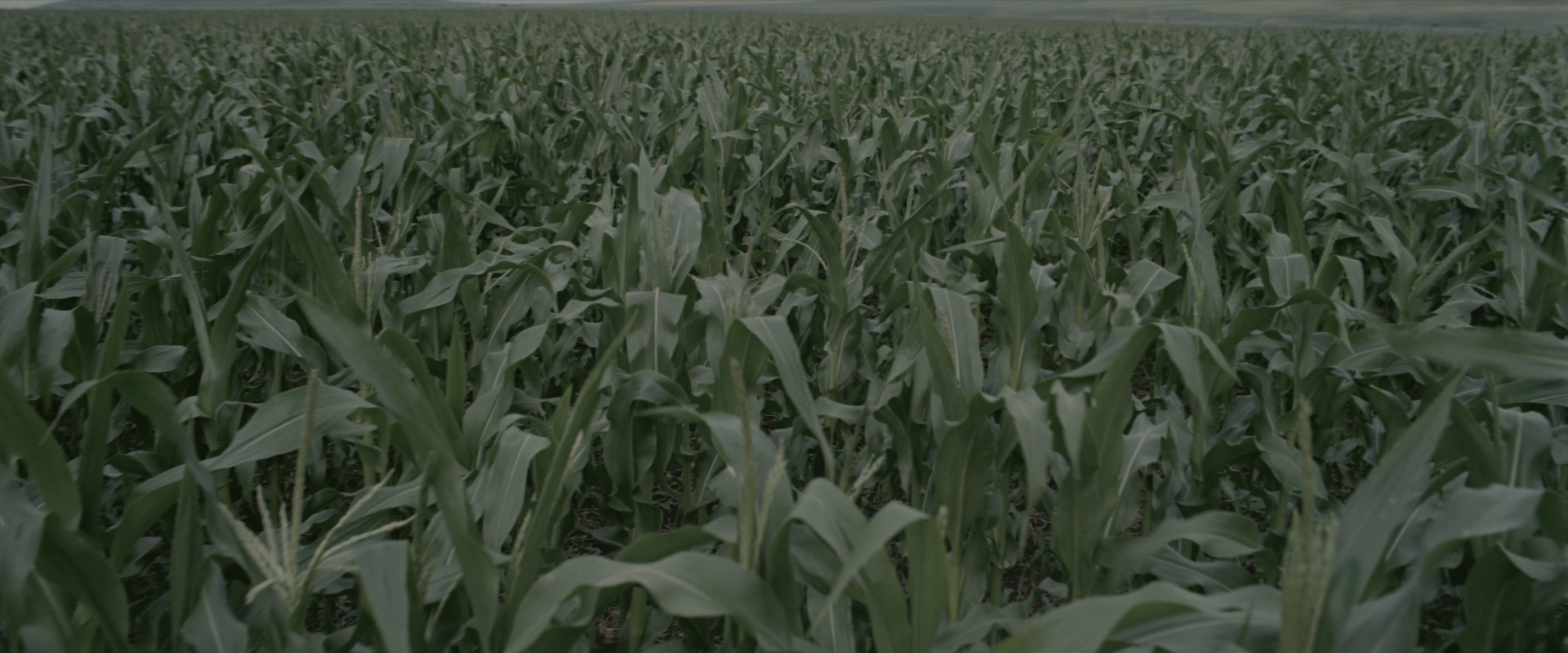 Interstellar (2014), wide, 2.40:1 — film still