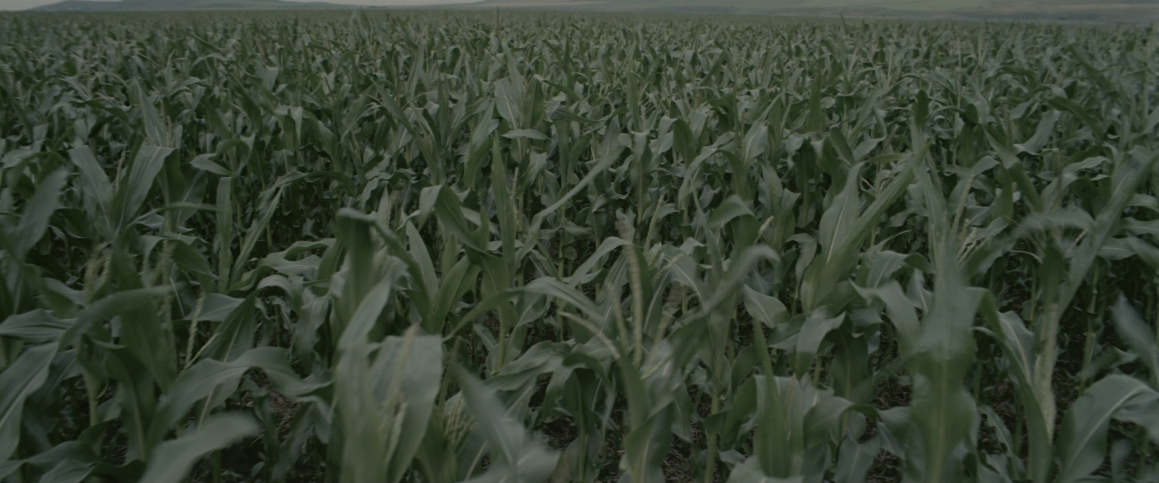 Interstellar (2014), wide, 2.40:1 — film still