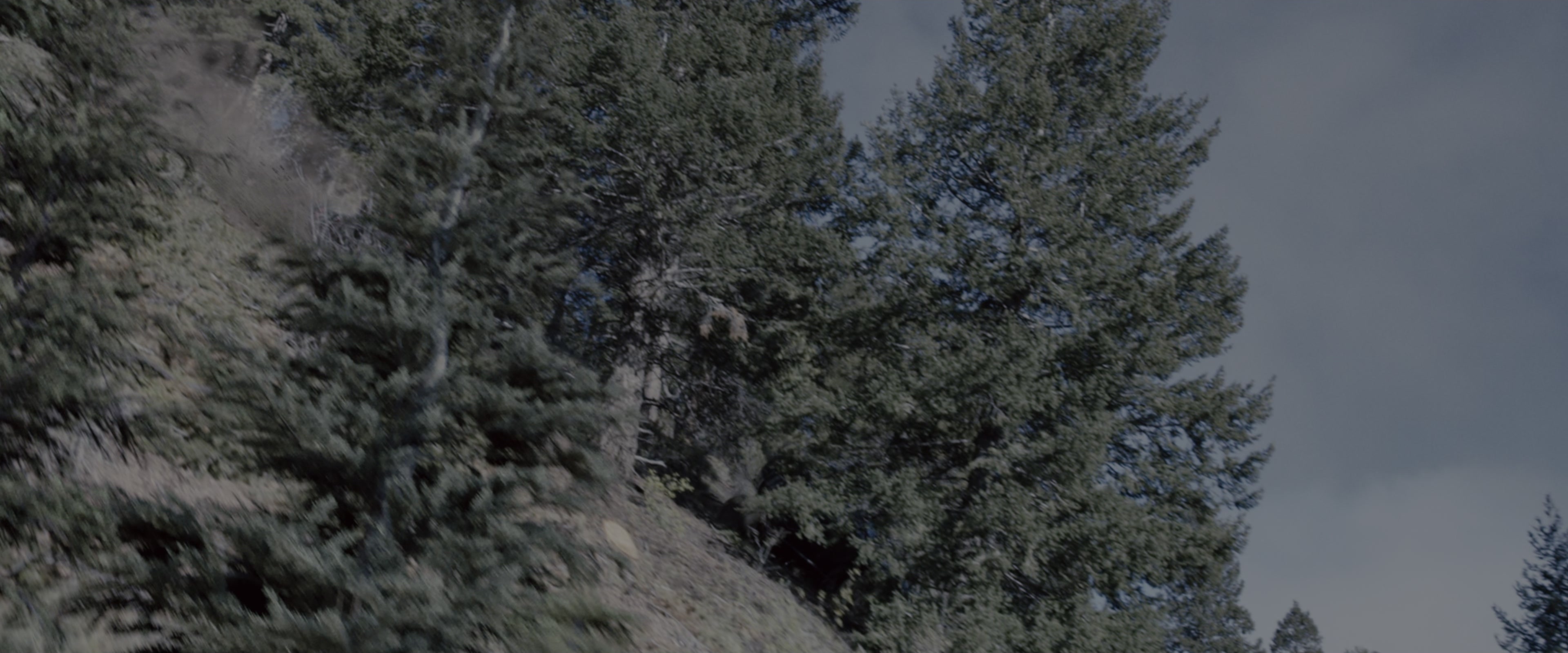 Fast & Furious 7 (2015), wide, 2.40:1 — film still