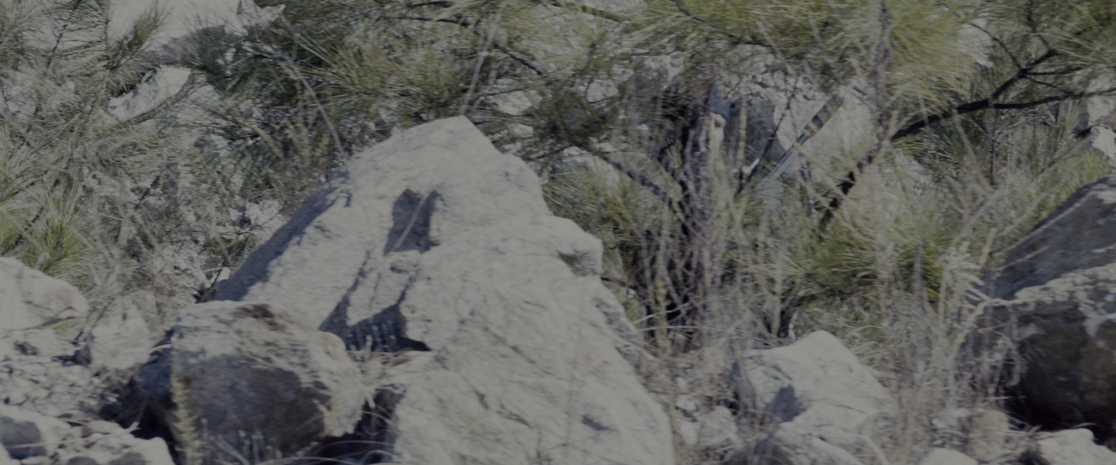 Fast & Furious 7 (2015), wide, 2.40:1 — film still