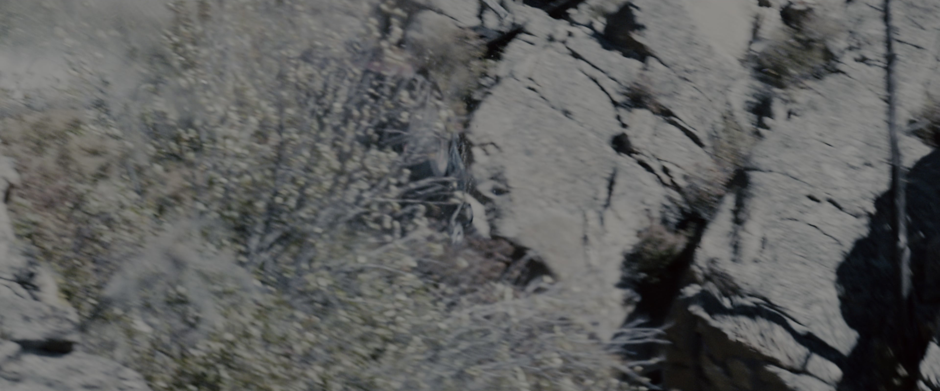 Fast & Furious 7 (2015), wide, 2.40:1 — film still
