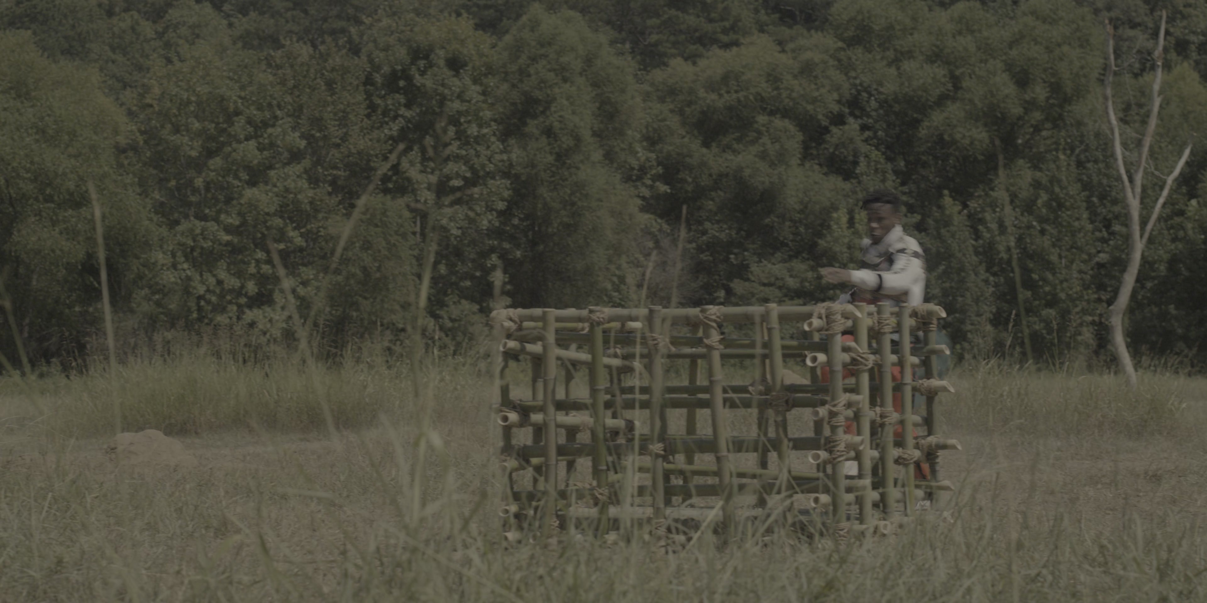 Coming 2 America (2021), wide, 2.00:1 — film still
