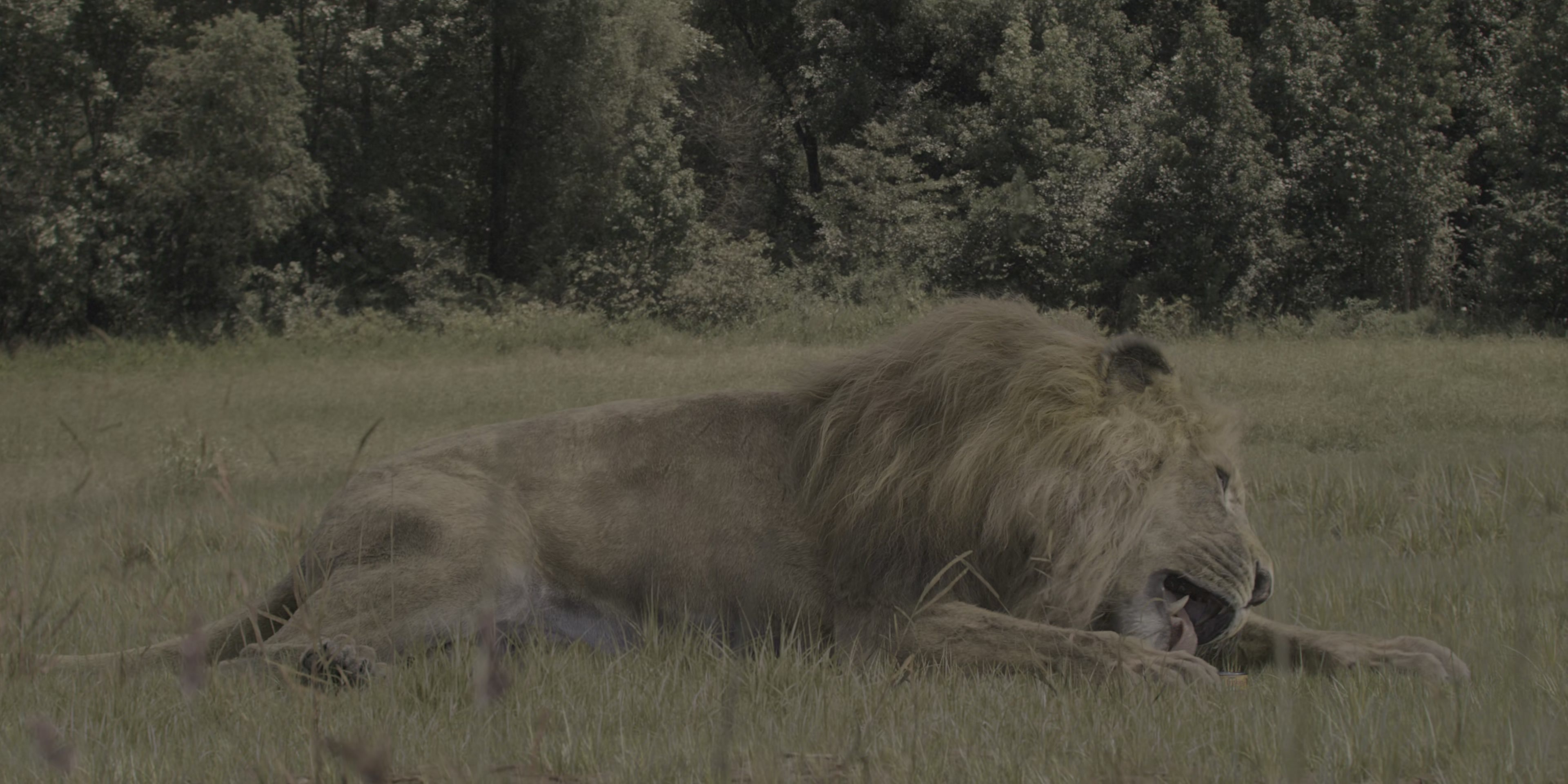 Coming 2 America (2021), wide, 2.00:1 — film still