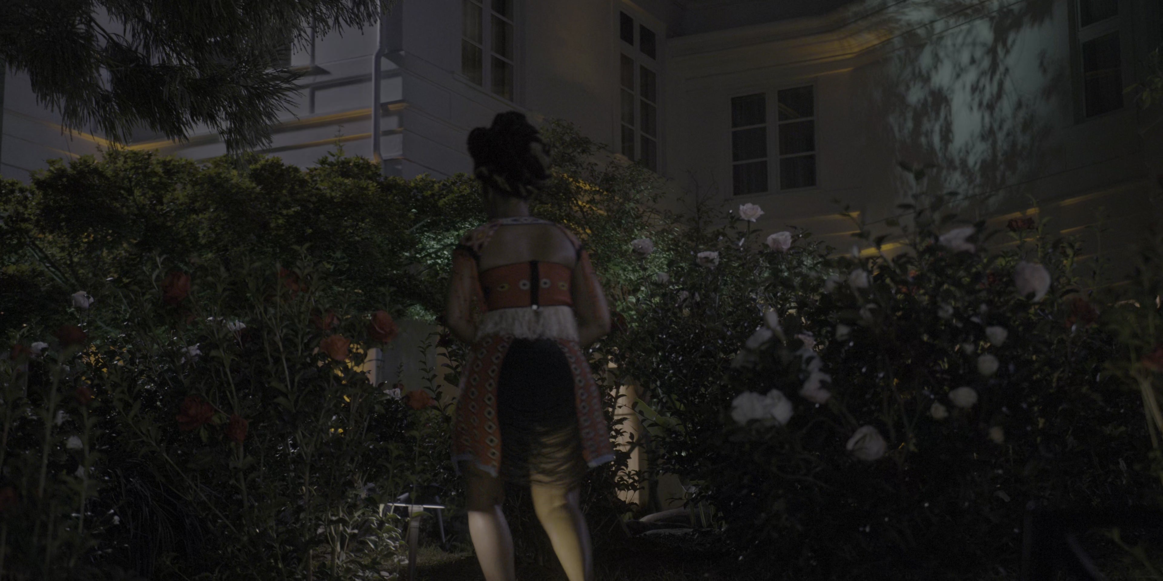 Coming 2 America (2021), wide, 2.00:1 — film still