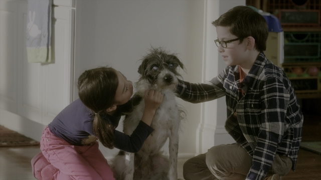 seria-89047.jpg