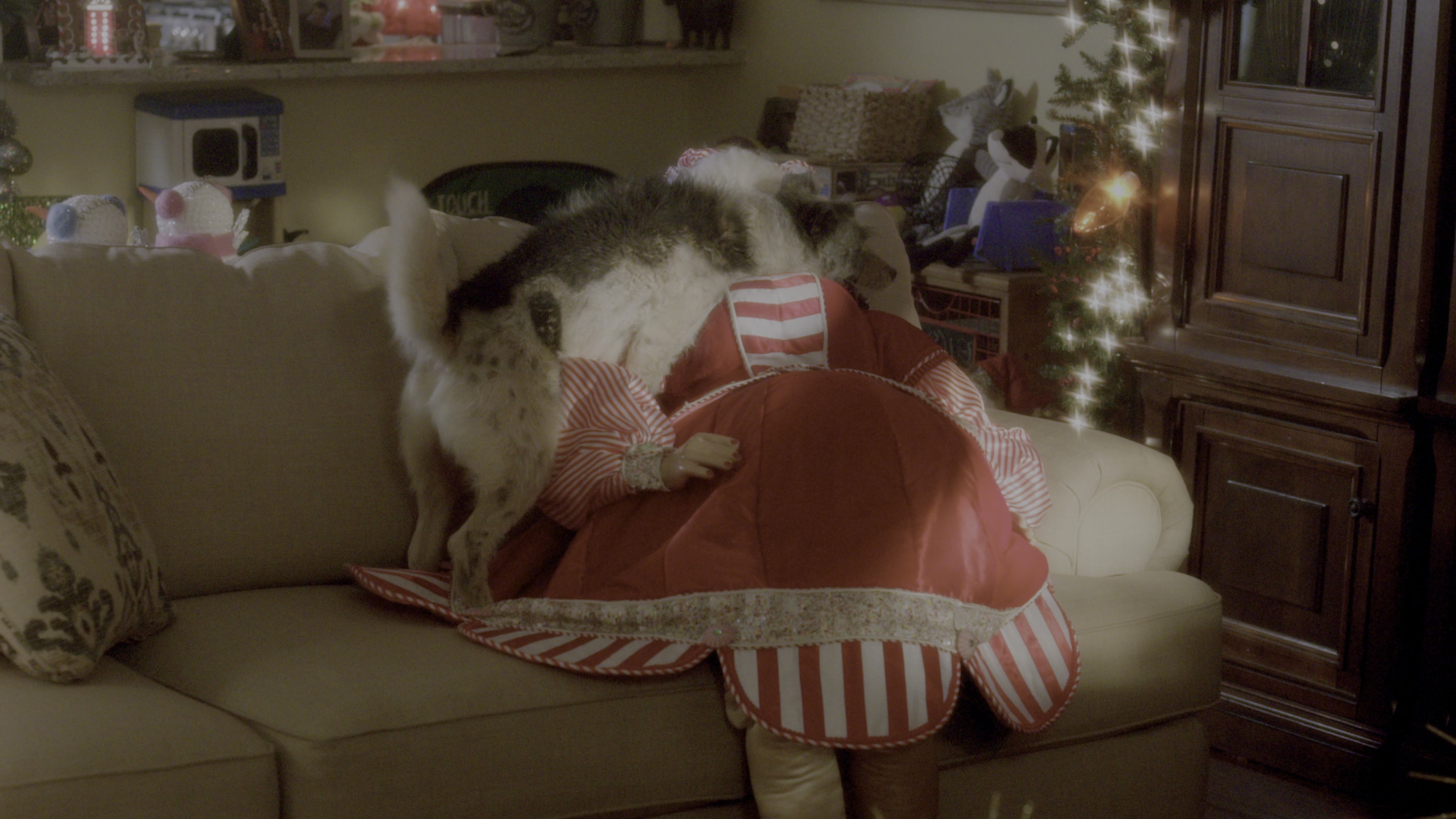 Daddy's Home (2015), wide, 1.78:1 — film still