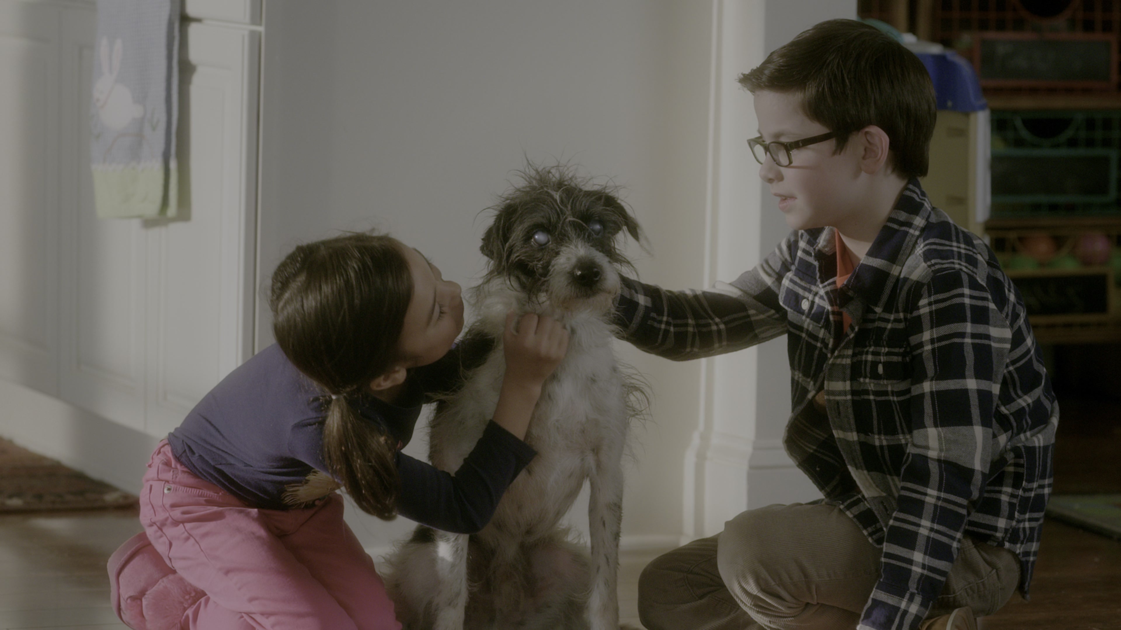 Daddy's Home (2015), wide, 1.78:1 — film still