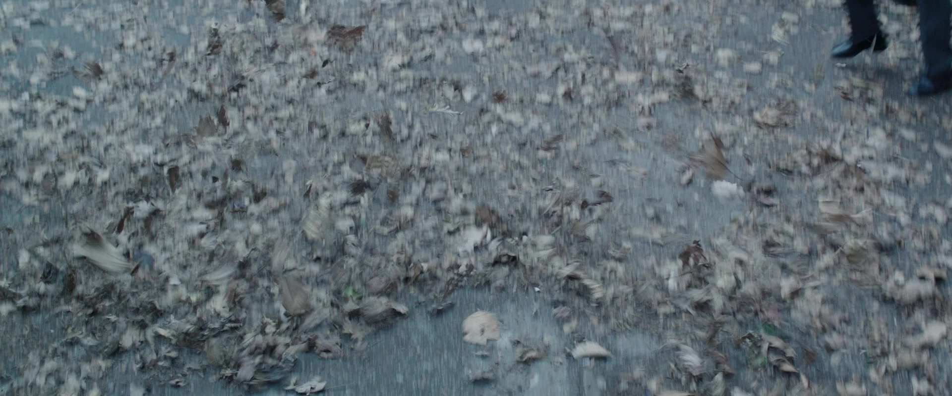 The Conjuring 2 (2016), unknown, 2.40:1 — film still