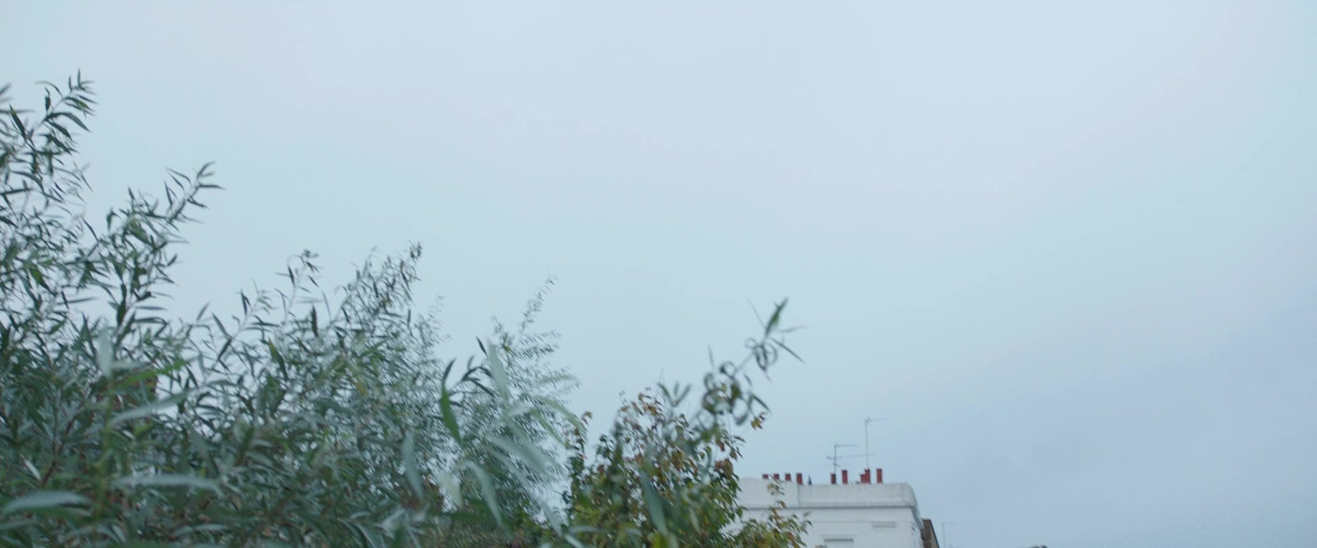 The Conjuring 2 (2016), wide, 2.40:1 — film still