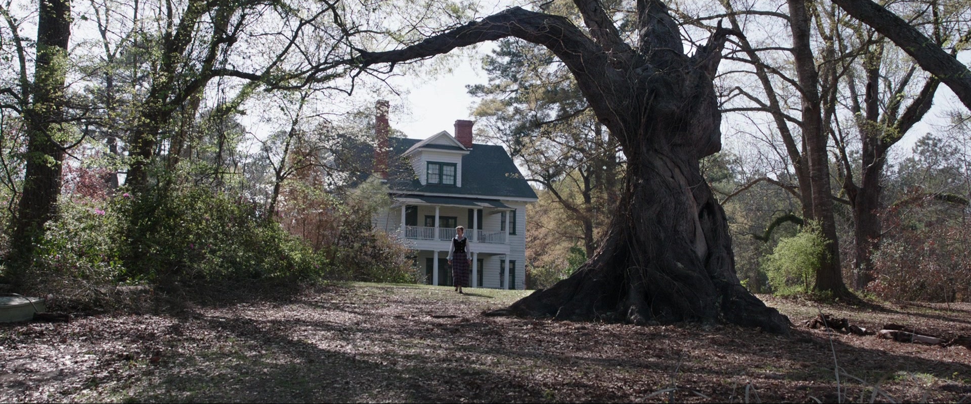 The Conjuring (2013), wide, 2.40:1 — film still
