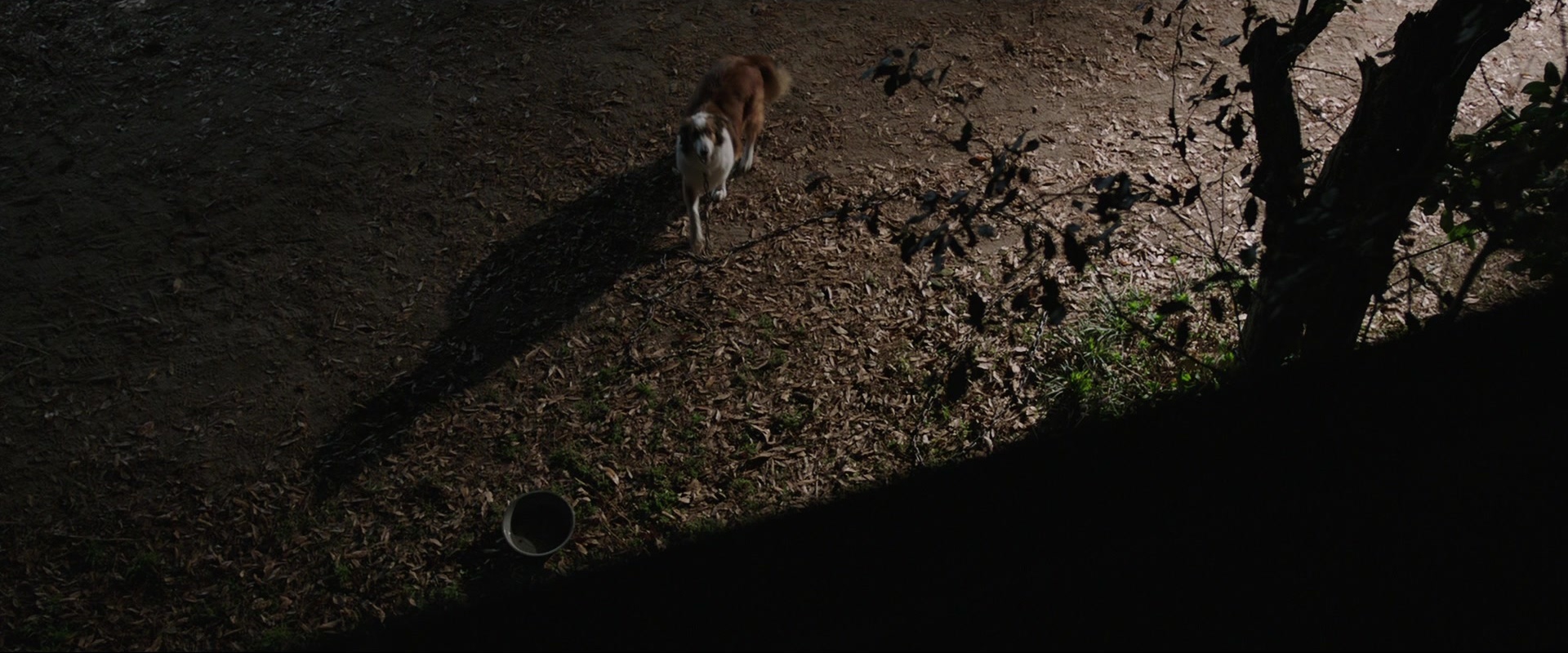 The Conjuring (2013), wide, 2.40:1 — film still