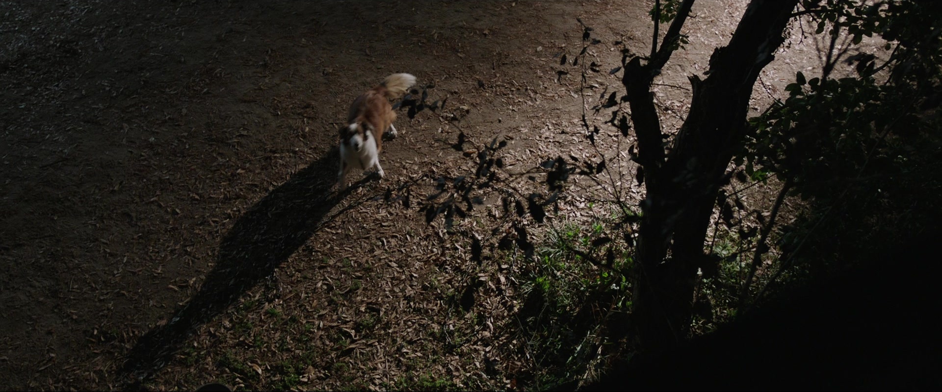 The Conjuring (2013), wide, 2.40:1 — film still