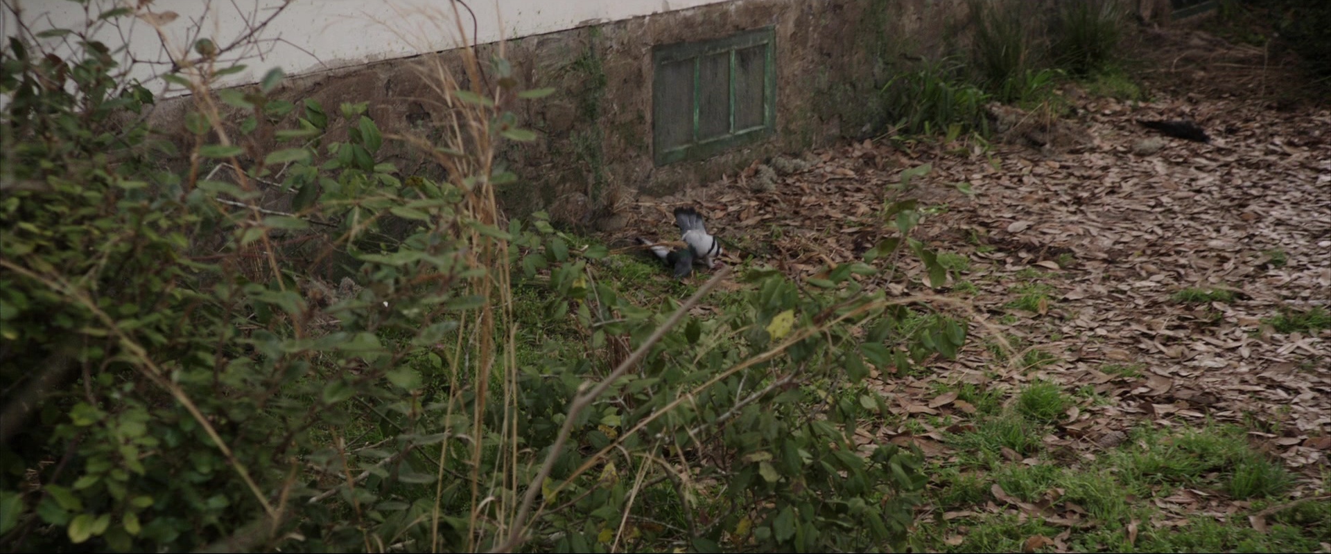 The Conjuring (2013), unknown, 2.40:1 — film still