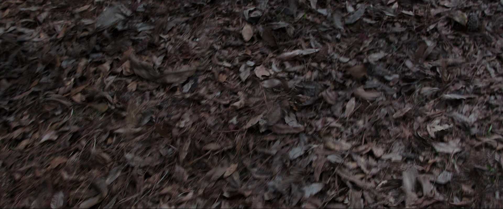 The Conjuring (2013), wide, 2.40:1 — film still