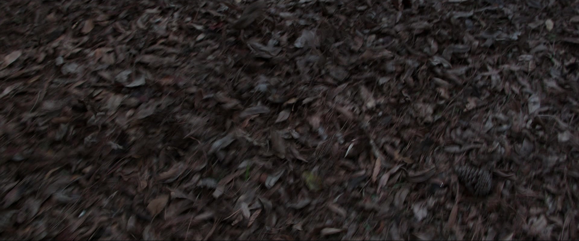 The Conjuring (2013), wide, 2.40:1 — film still