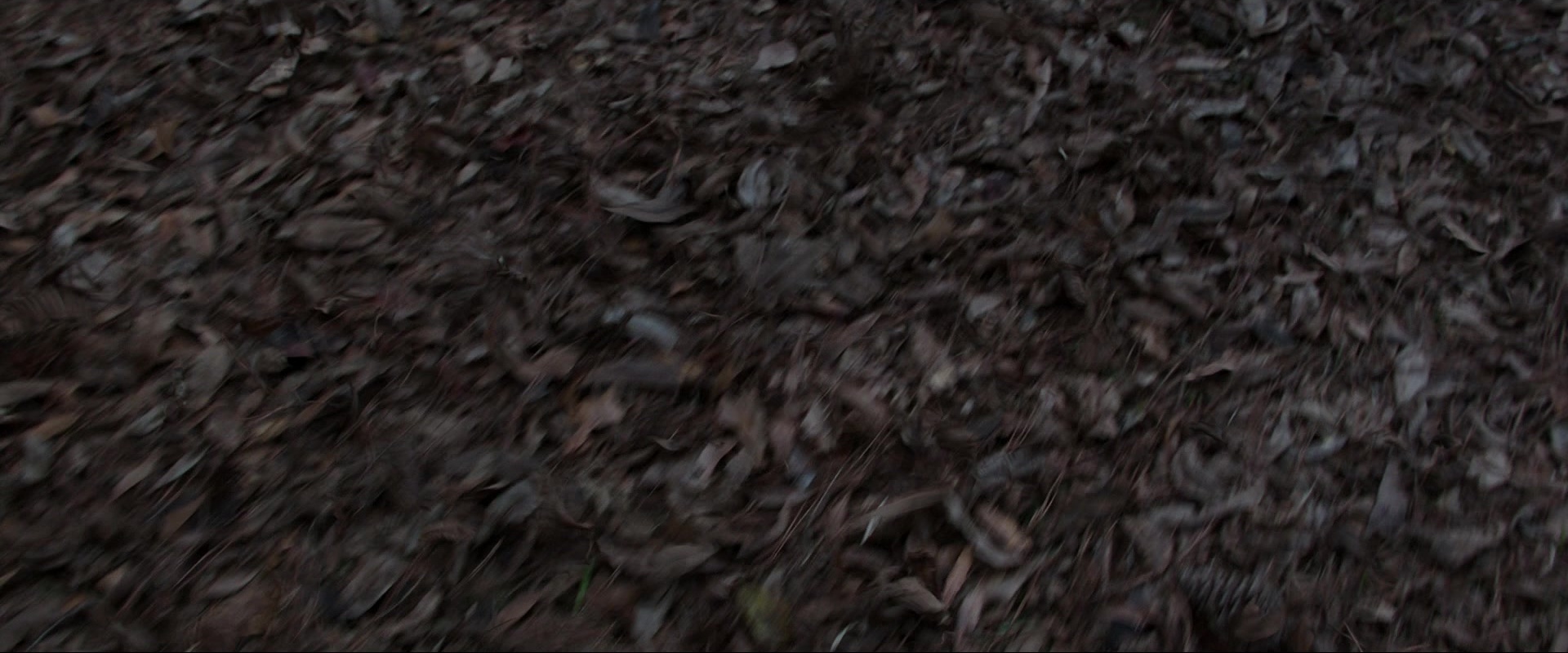 The Conjuring (2013), wide, 2.40:1 — film still