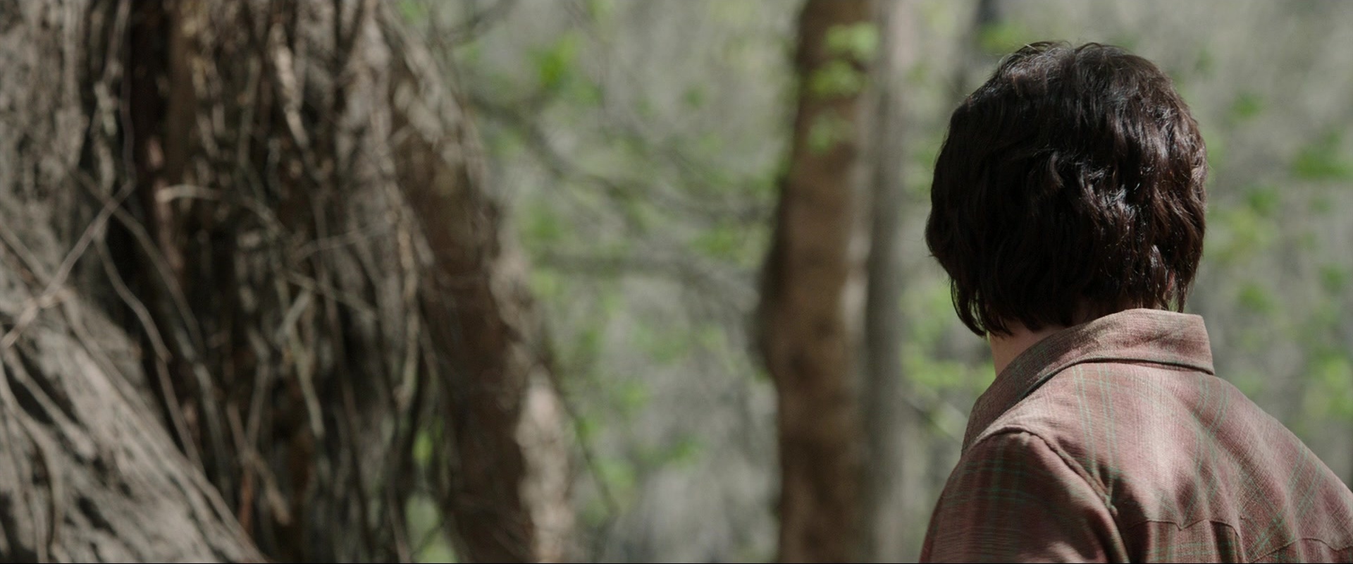 The Conjuring (2013), wide, 2.40:1 — film still