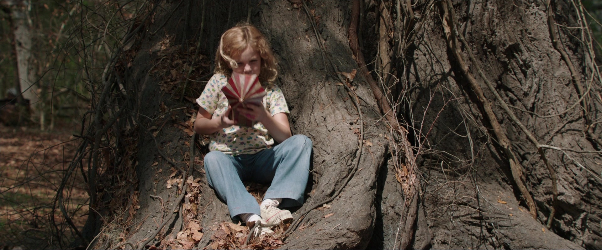 The Conjuring (2013), wide, 2.40:1 — film still